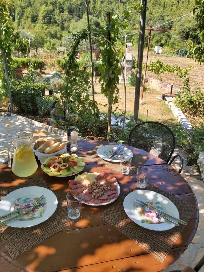 Apartman Rosa Leilighet Skradin Eksteriør bilde